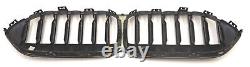 BMW F44 GrandCoupe M-Sport 5A39376 Ornamental Grille Front Radiator Grill SHADOWLINE