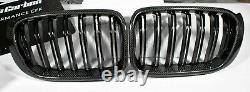 CARBON front grill kidneys radiator grille suitable for BMW X3 G01 X4 G02 before LCI