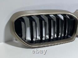 Genuine BMW 5 M5 CS F90 G30 G31 lci grill kidneys Kdney grill new radiator grille