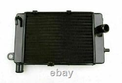 Radiator Grille Guard Cooler For Aprilia Mille RSV1000 Tuono Right Hand BLK FT