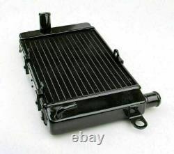 Radiator Grille Guard Cooler For Aprilia Mille RSV1000 Tuono Right Hand BLK FT